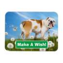 Recherche de animal drôle magnets Plaisanterie