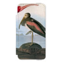 Search for john james audubon iphone cases Biology