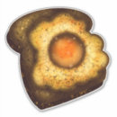 Search for happy egg stickers Bread