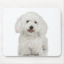 Search for veterinary electronics Puppy