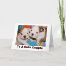 Recherche de chien mou Anniversaire