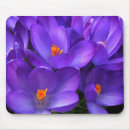 Search for spring crocus mousepads Floral