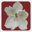Search for southern wedding stickers Magnolia