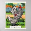 Search for bantam rooster art Fowl