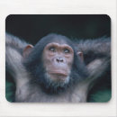 Search for tanzania mousepads East africa