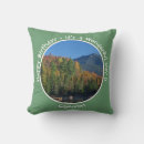 Search for mountain pillows Adirondacks