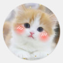 Recherche de chaton adorable autocollants Chat kawaii