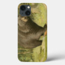 Search for bear ipad cases Nature
