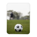 Search for sports magnets Field