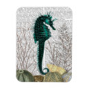 Recherche de hippocampe magnets Oursin