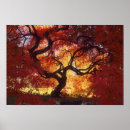 Recherche de érable japonais posters Couleur d'automne