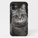 Search for 2015 cases Photography