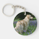 Search for retreivers keychains Flat coated golden