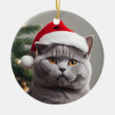 Search for santa cat ornaments Pets