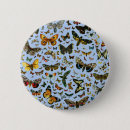 Search for butterfly pictures buttons Drawing