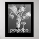 Recherche de arbres noir blanc posters Décoration