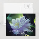 Recherche de clematis cartes postales Clématites