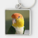 Search for belli keychains Nature