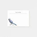 Recherche de geai bleu Faune