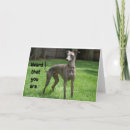 Search for greyhound birthday cards Funny