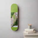 Search for lizard skateboards Reptile
