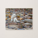 Recherche de west highland terrier puzzles Animaux