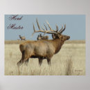 Search for wapiti posters Cervus canadensis