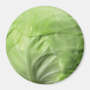Search for cabbage magnets Vegetable