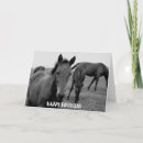 Recherche de photos de cheval vœux cartes Mignon