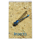 Recherche de insecte de vol Insectes