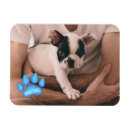 Recherche de compagnie magnets Image