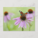 Search for nectar postcards Nature