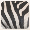 Search for animal skin coasters africa