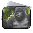 Search for silverback gorilla electronics Africa