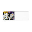Search for crocus return address labels Floral