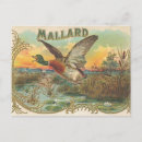 Recherche de canards cartes postales Rétro