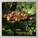 Search for apple orchard art Harvest