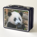 Search for panda lunch boxes Animals