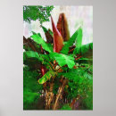 Recherche de foliage posters Florida