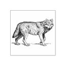 Search for wolf rubber stamps Dog