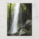 Recherche de environment cartes postales Tree
