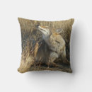 Recherche de coyote coussins Canis latrans