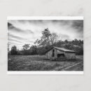 Search for dawn sky postcards Landscape