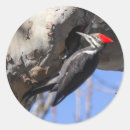 Search for hudson stickers Nature