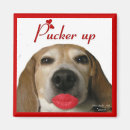 Recherche de beagle magnets Drôle
