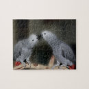 Search for parrot puzzles African grey parrot