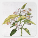 Recherche de julie autocollants Robert