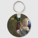 Search for ducks in water keychains Mallard