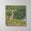 Search for heron canvas prints Grey bird