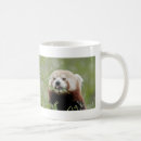 Search for kawaii red panda mugs Cute